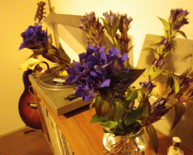 IMGP0110.jpg