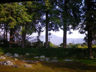 IMGP0243.jpg