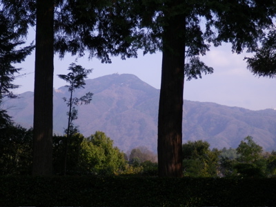 IMGP0249.jpg