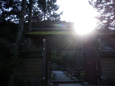 IMGP0258.jpg