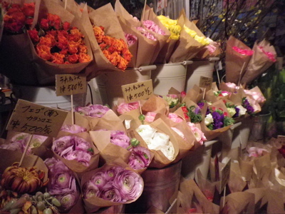 IMGP0290.jpg