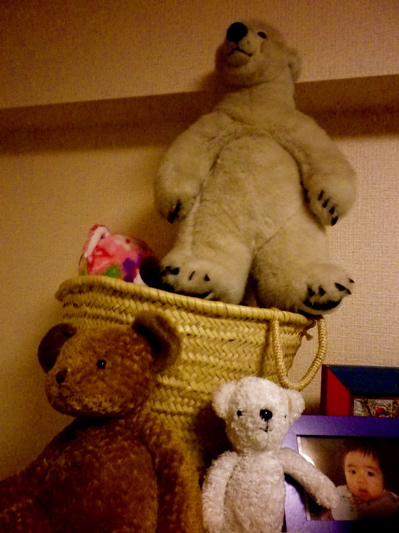 IMGP0517.jpg