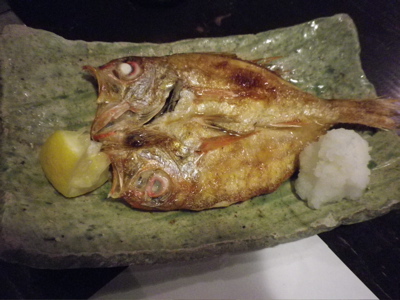 IMGP0709.jpg