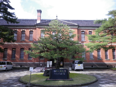 IMGP0767.jpg