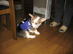 s-IMG_1267.jpg