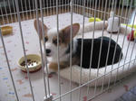 s-IMG_1258.jpg