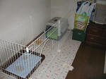 s-IMG_1298.jpg