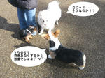 3c82f7e0.jpg