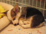 s-IMG_1173.jpg