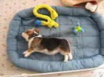s-IMG_1237.jpg