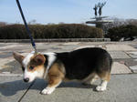 s-IMG_1379.jpg