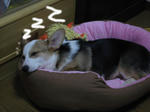 a81c6ebd.jpg