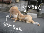 7284ba77.jpg