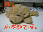c53160c9.jpg
