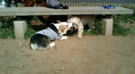 20080313113155.JPG
