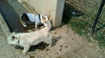 20080313113407.JPG