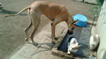 20080313113436.JPG