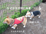 06d24465.jpg