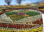 s-IMG_1607.jpg