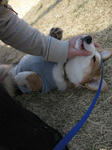 s-IMG_1621.jpg