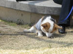 s-IMG_1626.jpg