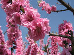 s-IMG_1629.jpg