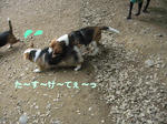 0d0a9321.jpg