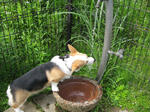 SMALL_0001_5.JPG