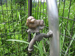 SMALL_0001_6.JPG