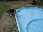 SMALL_1001_3.JPG