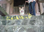 s-IMG_2255.jpg