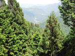 s-IMG_2261.jpg