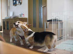 s-IMG_2340.jpg