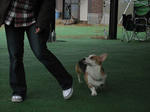 s-IMG_2514.jpg