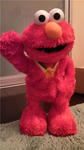 20090530-1.jpg