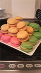 20100224-2.jpg