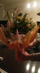 2010032022590000.jpg