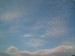 F1000109.JPG