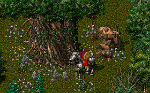 07-0707-skr-0003.GIF