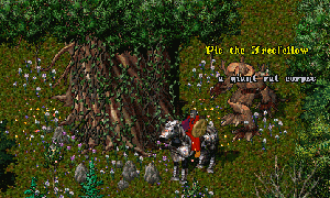 07-0707-skr-0004.GIF