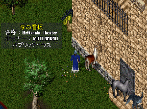 07-0714-ymt-0001.GIF