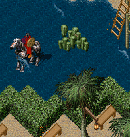 07-0724-skr-0004.GIF
