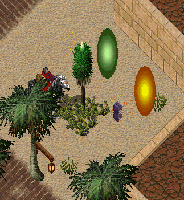 07-0728-skr-0010.GIF