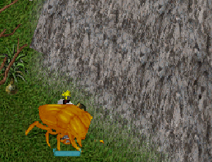 07-0815-skr-0002.GIF