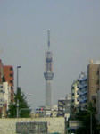 110504_155405.JPG