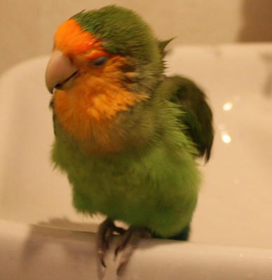 afterthebath.jpg