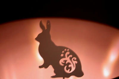 shadow_rabbit.jpg