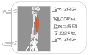 0155bee6.png