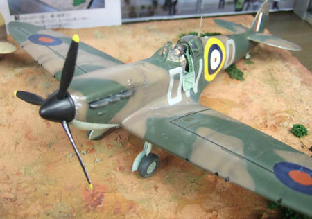 46016192.jpg