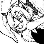 ザルド